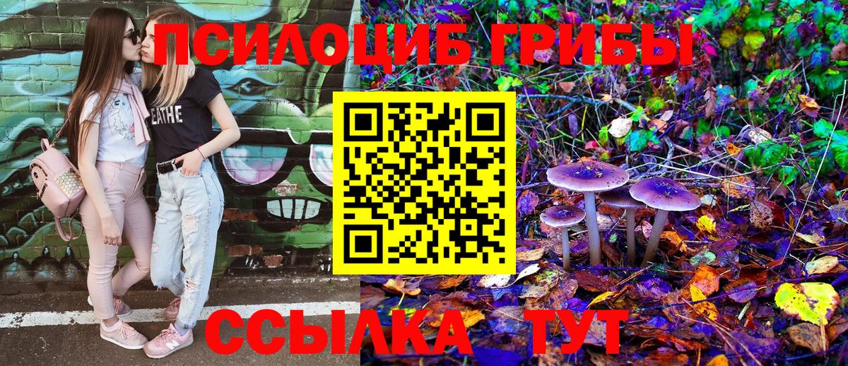 Псилоцибиновые грибы Magic Shrooms  Вход с VPN  Вязники 